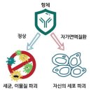 ◇ 자가면역질환 &#39;치료 &amp; 주의사항&#39; 이미지