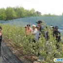 평택시 농업기술센터 친환경미생물관 이미지