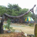 송제농원 이미지