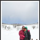 번개목장 이미지