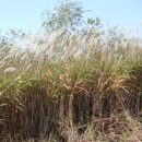 즐거운목장 이미지