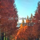 핑크애견하우스 | 대구 칠곡 카페 모하 더 그린하우스 애견동반 가능 가산수피아 카페