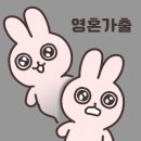 착한생돼지 이미지