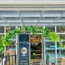 아쿠아펫 카페수족관 이미지