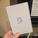 pet 36어5423 | [일상] 성수포토덤프 소품샵나들이(메릴러번/포인트오브뷰/헤이데이성수/오브젝트성수/픽사하우스)