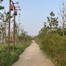 수도권매립지 캠핑장 이미지