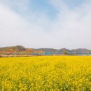 낙동강체육공원 농구장 이미지