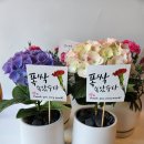 메리골드송도