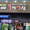 불막열삼 이미지