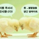 자연과 나 이미지