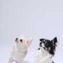 293사진관 이미지