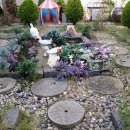 감천할머니 이미지