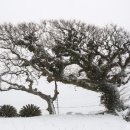 (주)고귀 이미지