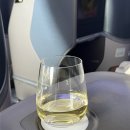 호텔RG | 호주 / 다락휴 인천공항 T1/싱가포르 항공 비즈니스 / 싱가포르 스탑오버 8시간 / 송파 바쿠테 본점 후기