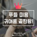 바둑아 사랑해 이미지