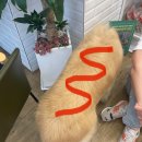 왕개상점 이미지