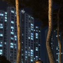 오토스1급정비 이미지