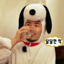 핑크골드