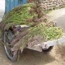 환의농장 이미지