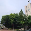 송내대로 이미지