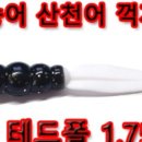 송어 축제장 채비 구매 가이드 - [25/01/13]