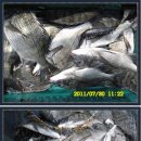 대구대물피싱 이미지