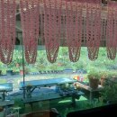단비꽃농원 - 과천시 곱돌머리길 28 | 단비꽃농원