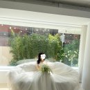 푸릇푸릇 | 웨딩크라우드 [루미에 스튜디오] 푸릇푸릇 했던 루미에 스튜디오 후기!!💚