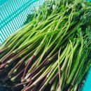 치산미나리 10호점 이미지