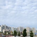 와우리 신명아파트앞 이미지