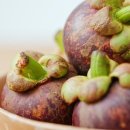 더 머슬짐 이미지