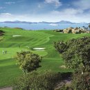 파인비치 이미지