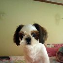 송파구 보훈회관 이미지