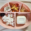 우리 아기 성장의 핵심! 영양 만점 단백질 종류, 역할과 아기 소고기 섭취량