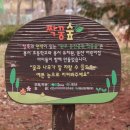 짝꿍숲어린이집 이미지
