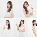 미스트롯 이미지