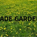 [천로역정] JADE GARDEN _ 2026.06.02 이미지