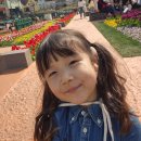 이솝하우스 | 에버랜드 7살 딸과 하루 후기- 매직쿠키하우스 4번, 썬더폴스 울뻔, 워킹사파리는 의외로 25분컷