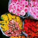 수요일 - 종로구 인사동길 36 | 수요일