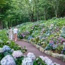 꽃내음하우스 이미지