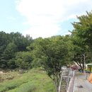 별빛 오토 캠핑장 이미지