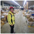 인삼약초시장 이미지