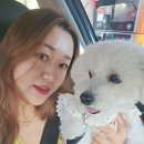 감악산주유소 이미지