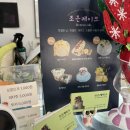 조은과일 - 세종특별자치시 보듬4로 9 | 천안 케이크, 기념일 케이크 맛집 추천, 조은케이크 방문후기