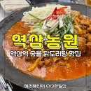 역삼역 맛집 역삼농원 숯불 닭도리탕 후기