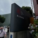 두리오 | 전시_피카소가 폴 스미스를 만나면? @국립신미술관 도쿄