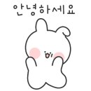 언니네칼국수앤돈가스 이미지