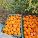 윤정농장 이미지