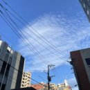신신항공 이미지