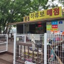 인동36길2L-26 | [청도 운문댐 하류보 노지 캠핑] 5월 1일 개장 첫날 차박지, 캠핑지 정보 / 화장실, 개수대 정보